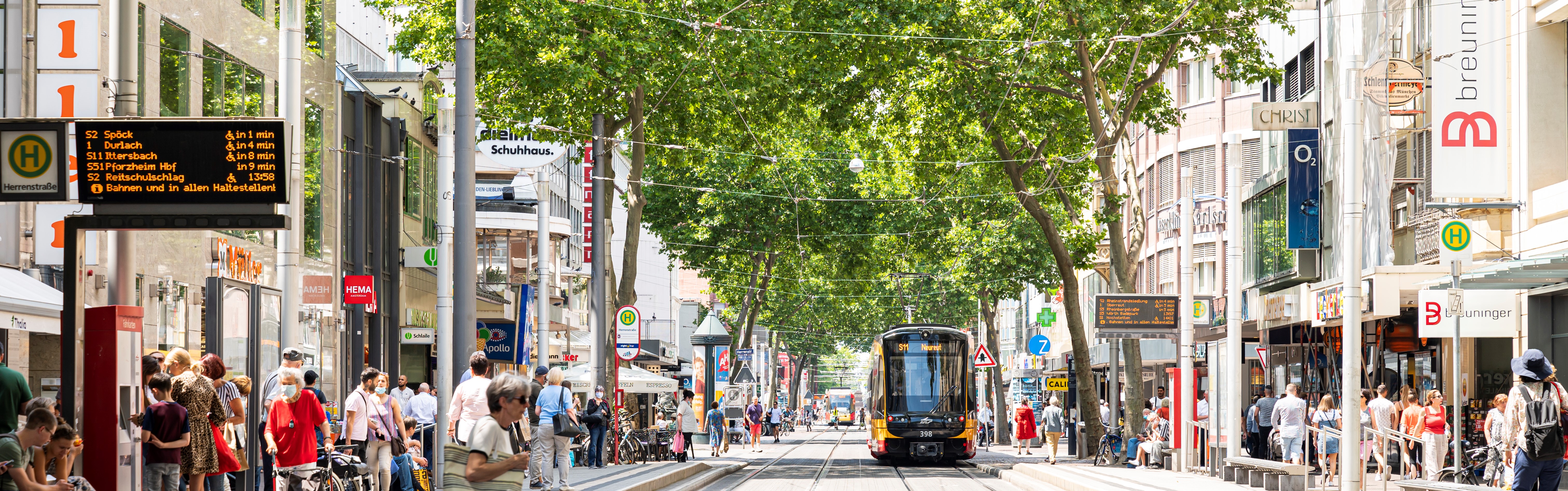 Bäume in der Kaiserstraße.