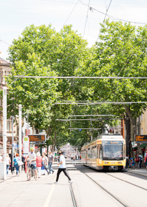 Trees in Kaiserstrasse.