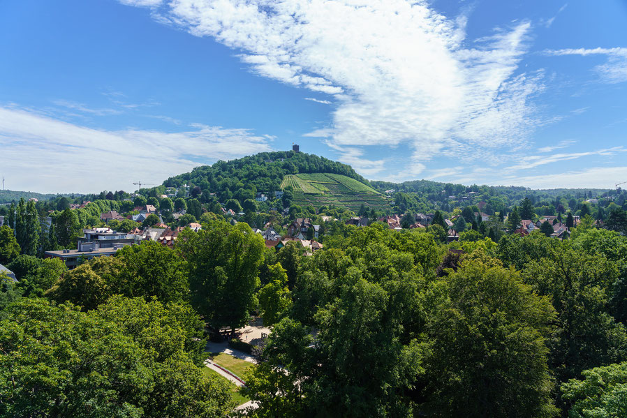 Blick Turmberg